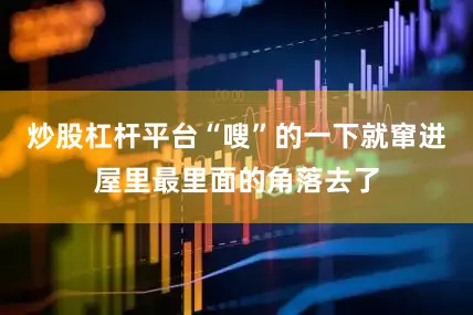 炒股杠杆平台“嗖”的一下就窜进屋里最里面的角落去了