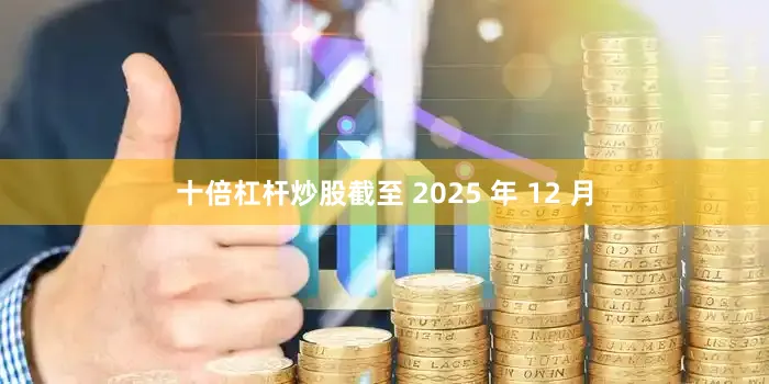 十倍杠杆炒股截至 2025 年 12 月